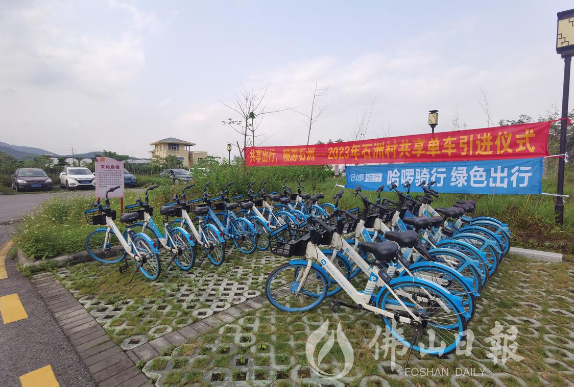 共享单车正式投放。刘嶒摄.jpg