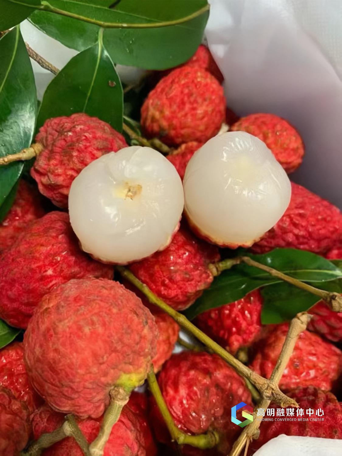 短时间内狂吃荔枝,有可能会出现喉咙痛、头晕、恶心、乏力等症状,即人们常说的“荔枝病”。高明融媒记者陈嘉懿摄.jpg