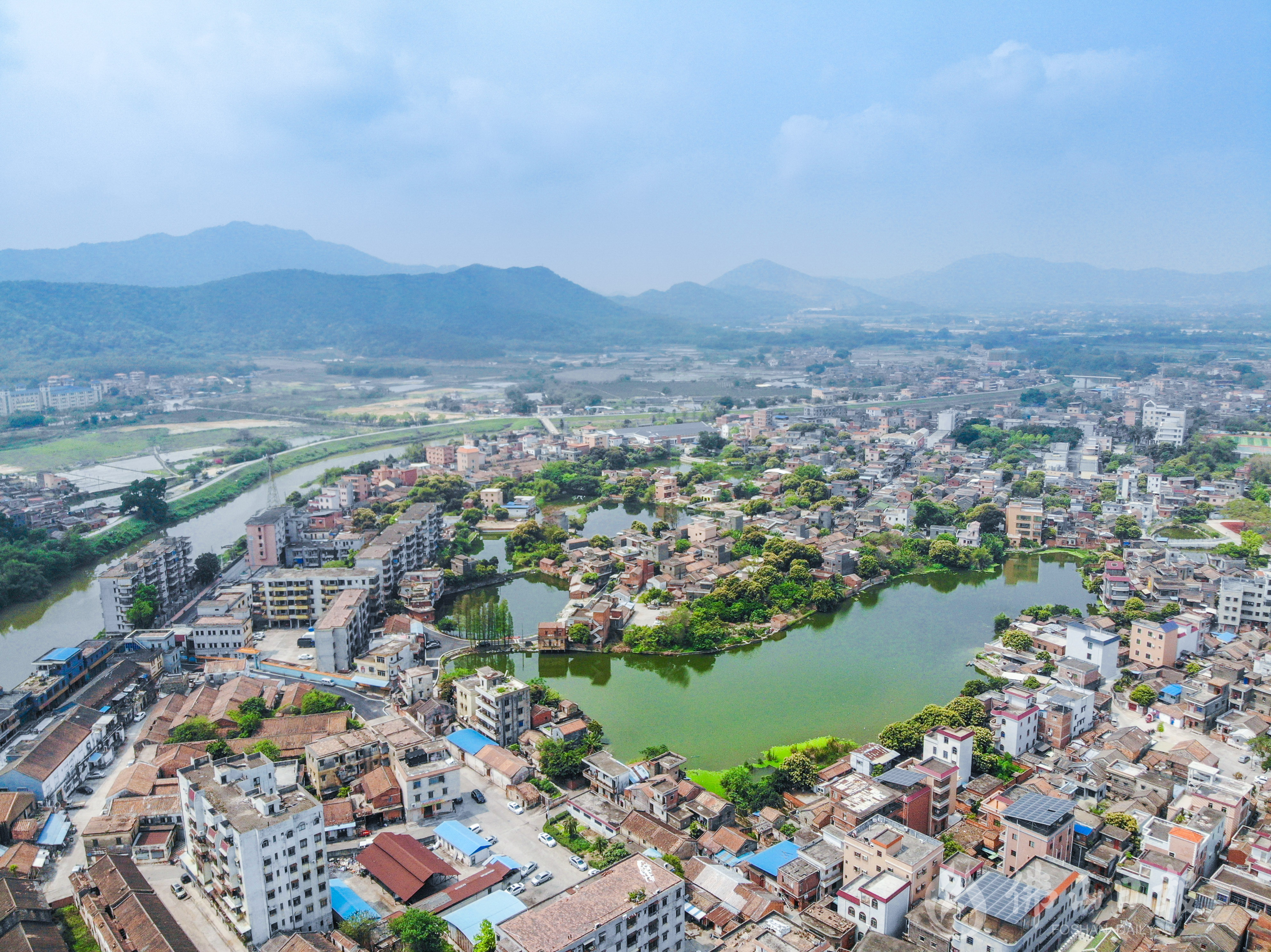 高明水网密布，沧江河穿过明城镇，河岸秀丽无限。佛山日报记者洪海摄