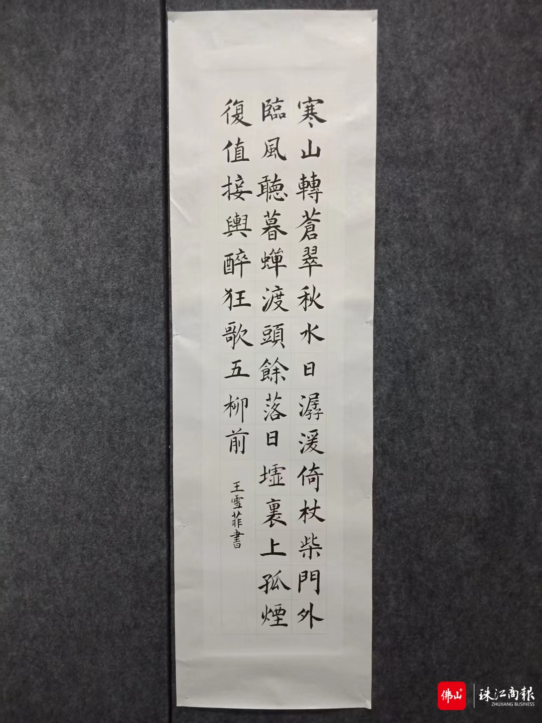王雪菲的作品.jpg