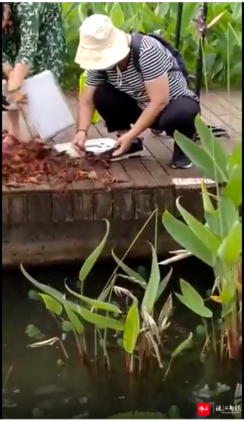 微信图片_20220526203351.png