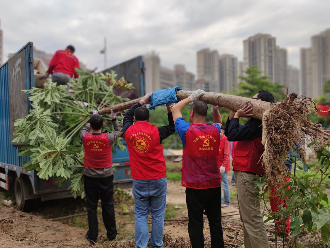 沙头社区.jpg