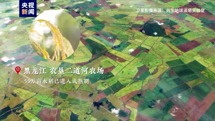 视频 | 卫星“瞰”丰收 秋日里的梯田“丰”景如画