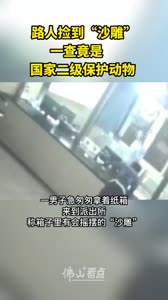 路人捡到“沙雕”，一查发现是国家二级保护动物