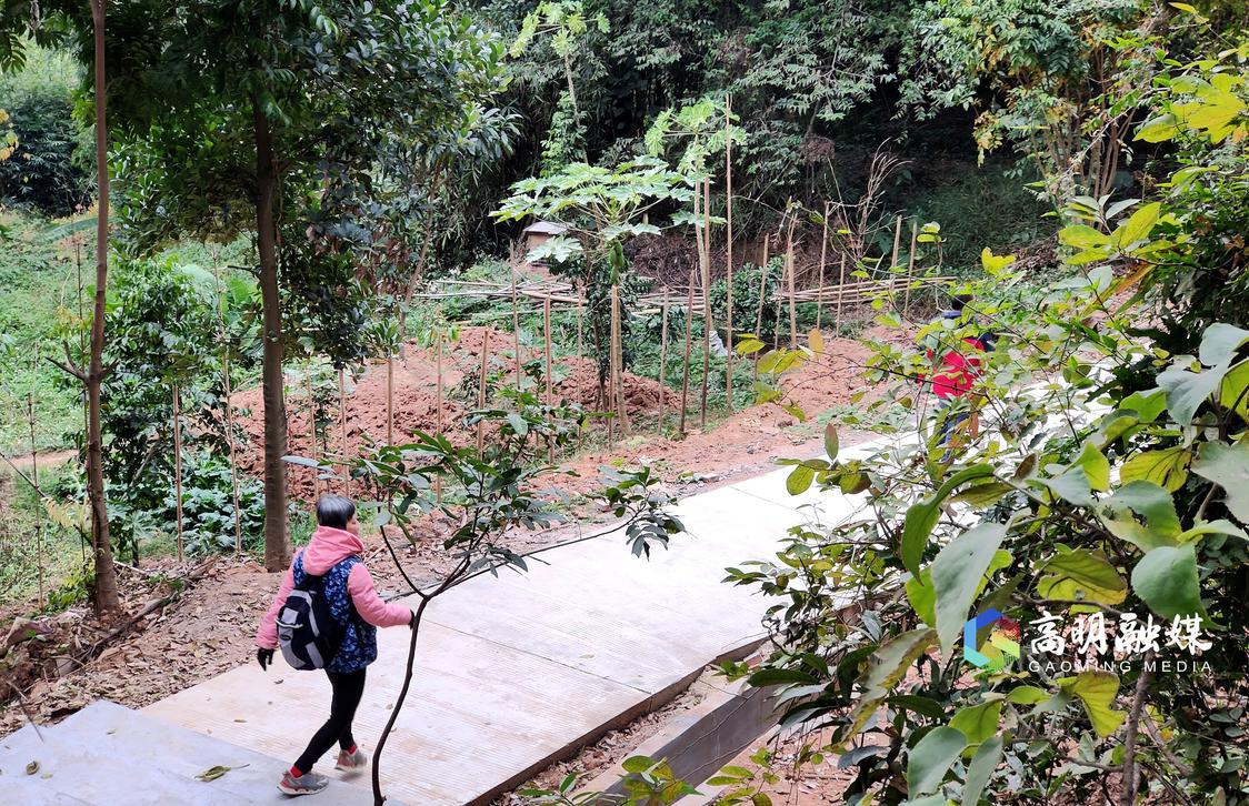 掩映在丛林的环山步道.jpg