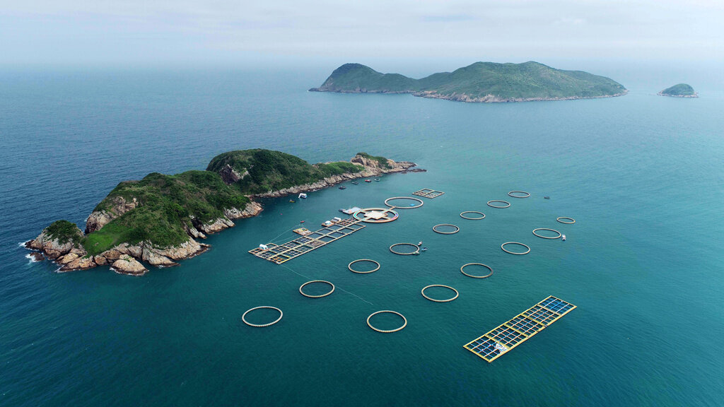 位于圣告岛附近的海洋牧场,是我市一大深海养殖场,旨在探索发展“海上风电+海洋牧场”新养殖模式。 位于圣告岛附近的海洋牧场,是我市一大深海养殖场,旨在探索发展“海上风电+海洋牧场”新养殖模式。
