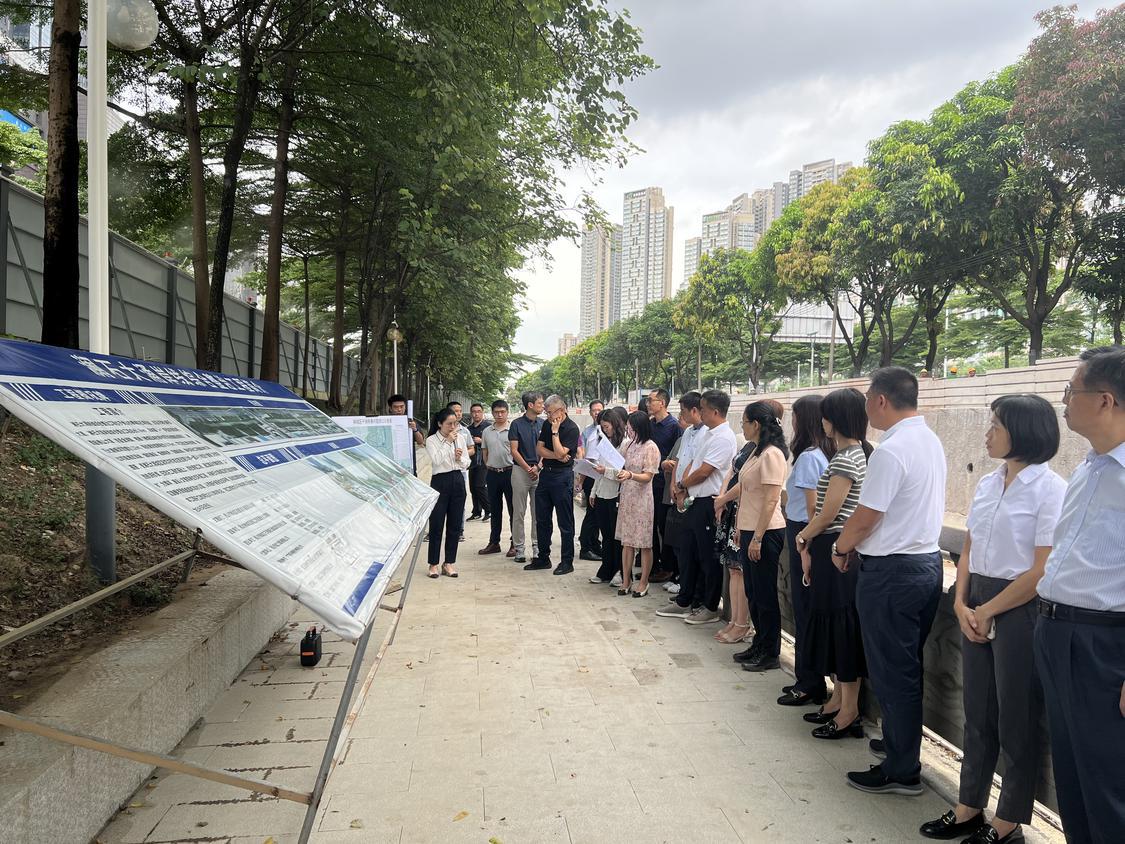 7月2日,市人大常委会组织佛山的全国、省、市人大代表开展水生态环境治理情况专题调研。.jpg