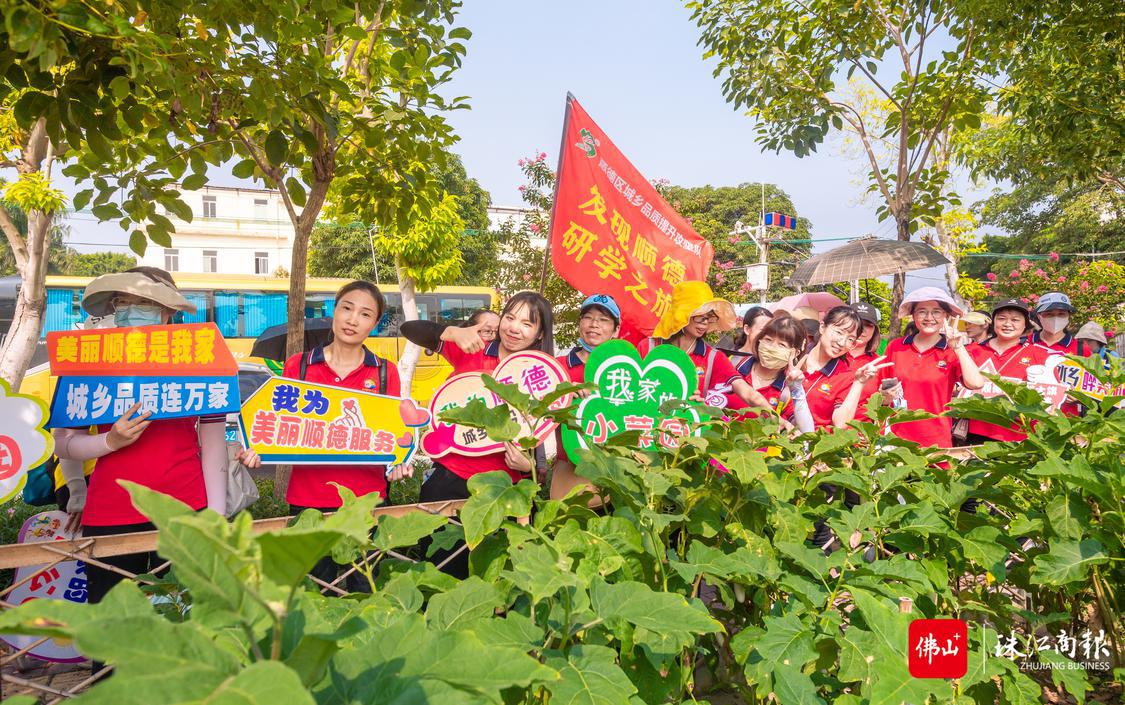 第二届“游美丽顺德 享品质生活”市民体验活动走进伦教三洲,感受“四小园”改造变化。珠江商报记者何冠洪 实习生苏伟铨摄.jpg