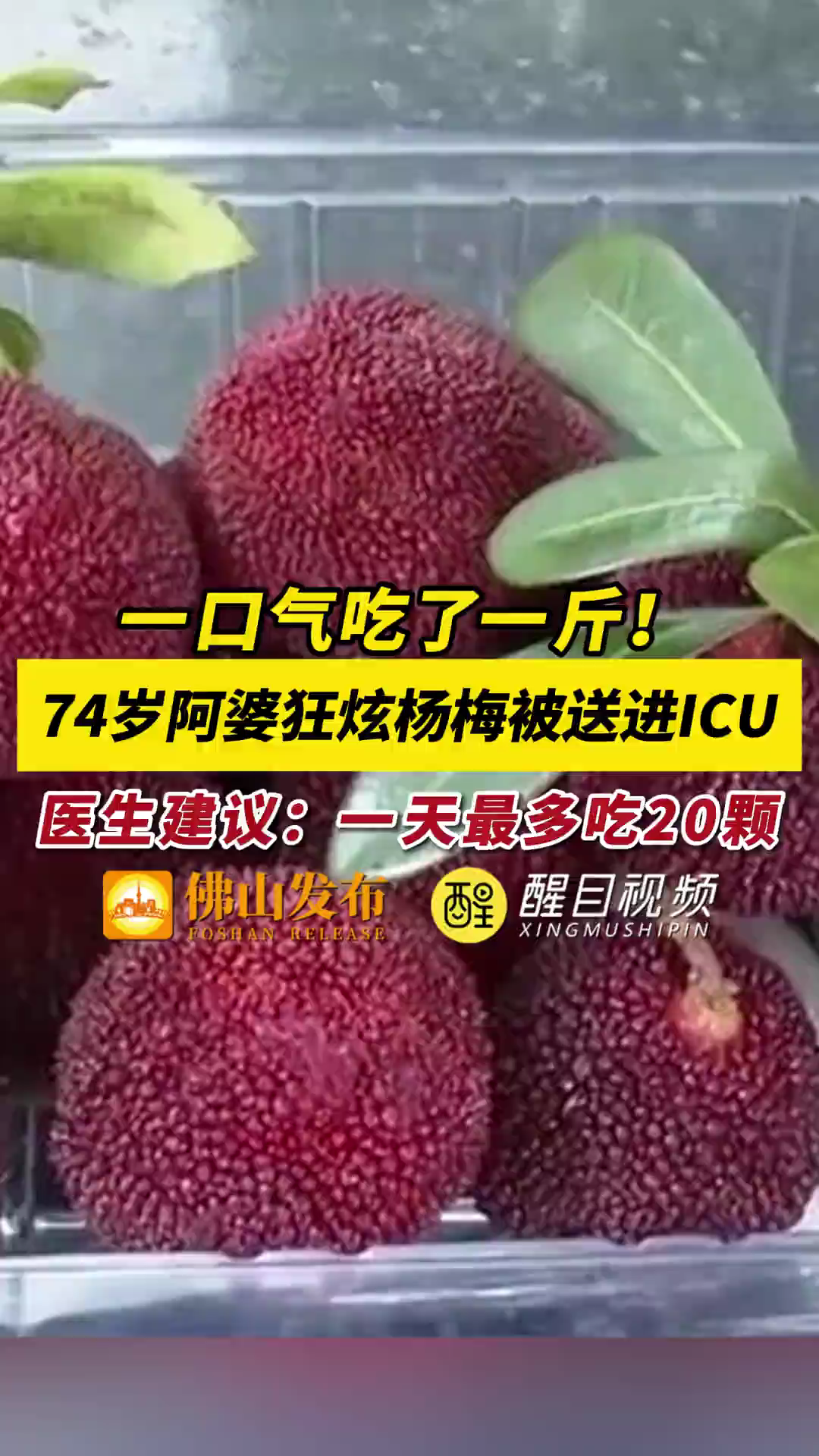 一口气吃了一斤！74岁阿婆狂炫杨梅被送进ICU，医生建议：一天最多吃20颗！