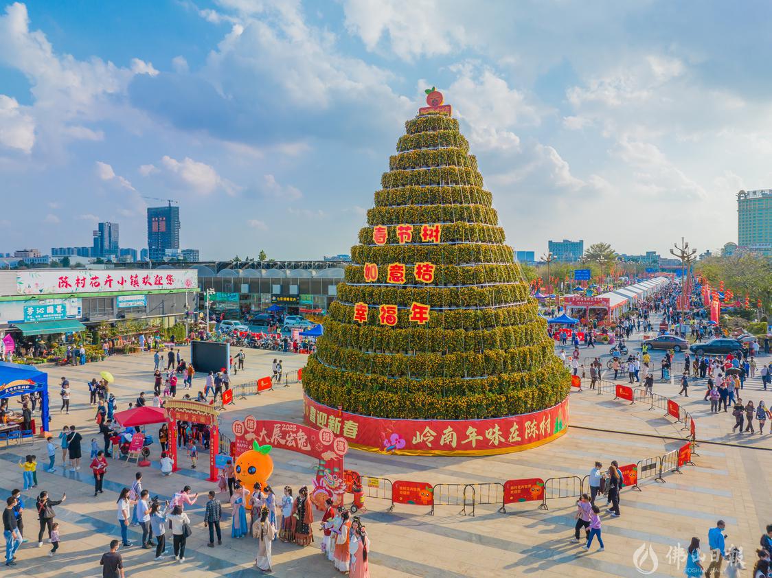 陈村迎春花市的巨型年桔塔成为了花市网红打卡点。珠江商报记者周焯杰摄.jpg