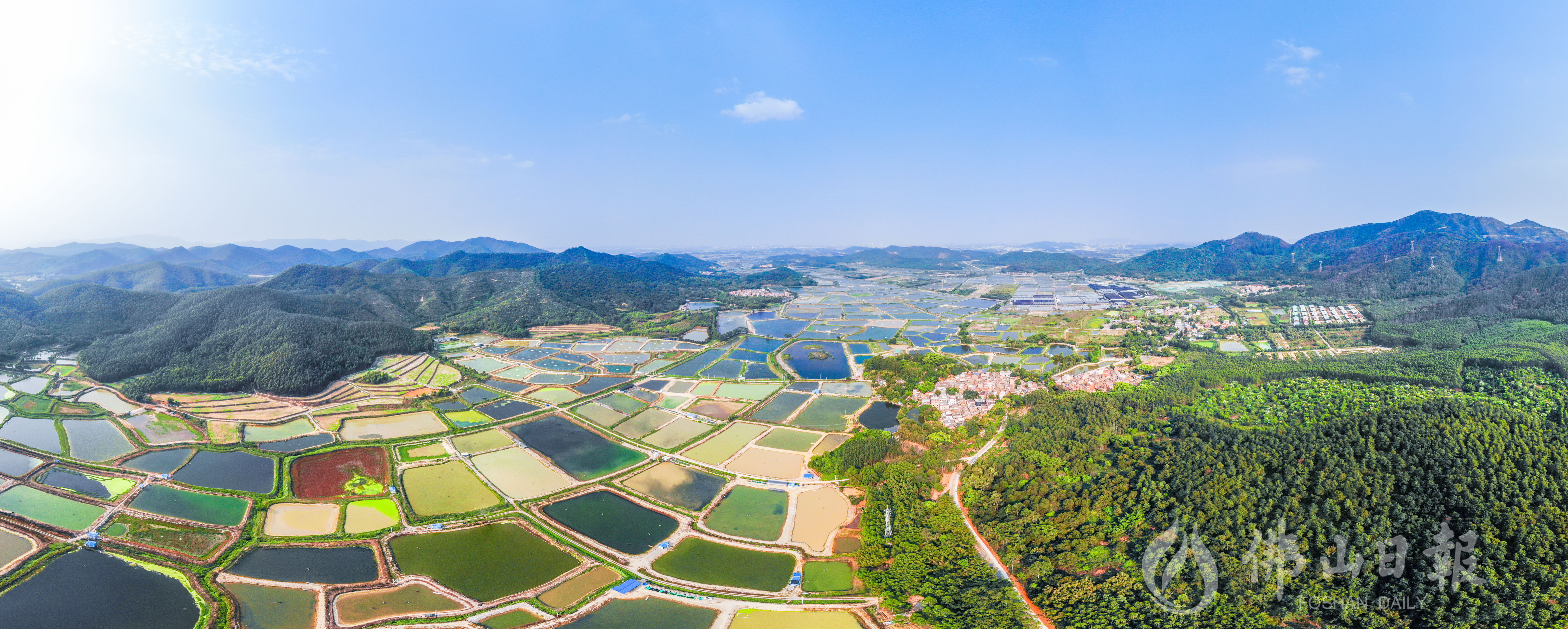 高明凌云山下，石洲村内的鱼塘在山脚铺开。佛山日报记者洪海摄