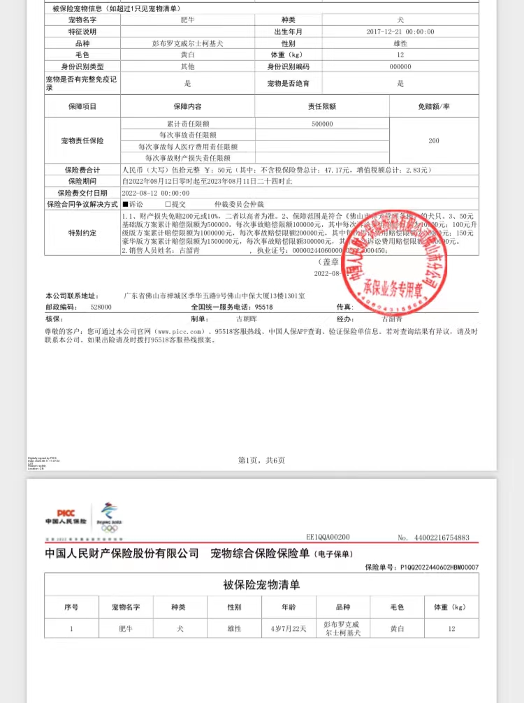 市民朱先生为柯基犬购买了犬只第三者责任险.jpg
