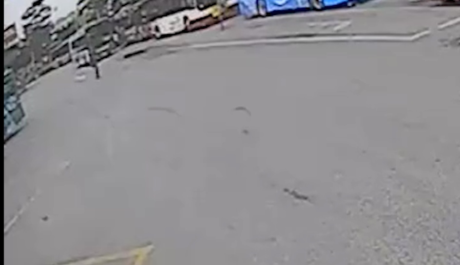见义勇为视频