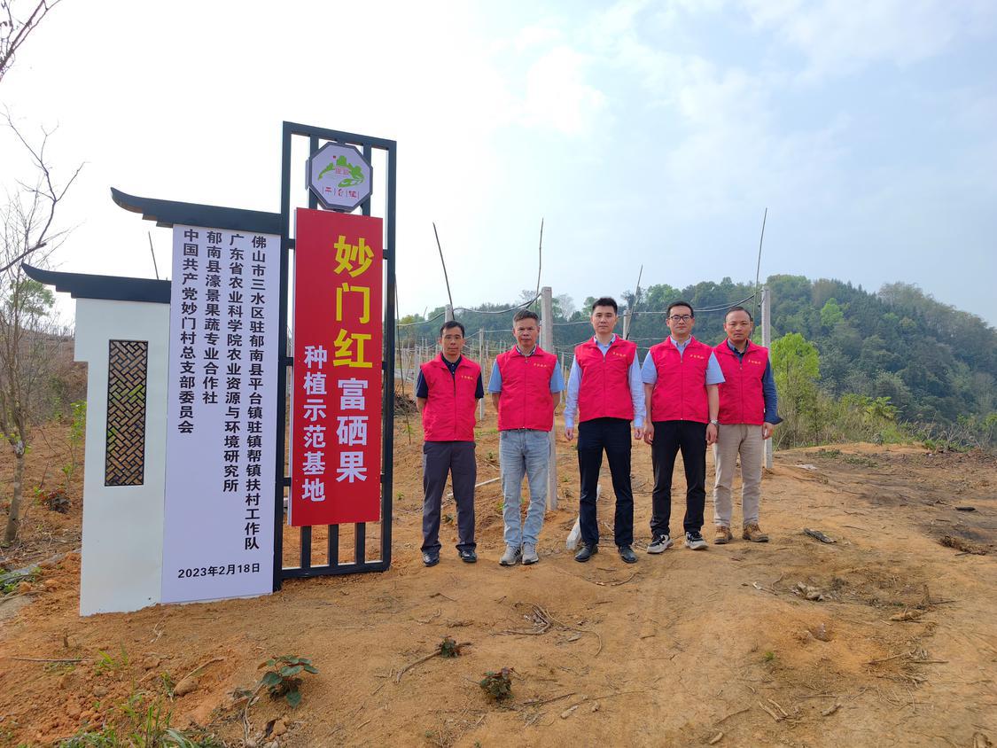 工作队等四方合力打造的种植基地——“妙门红”富硒果种植基地。.jpg