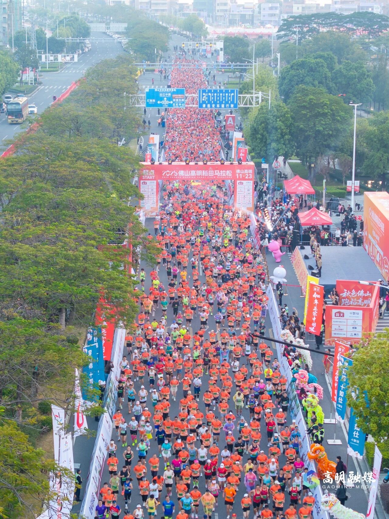 官宣定档!2026佛山市环两江稻田马拉松11月22日开跑!