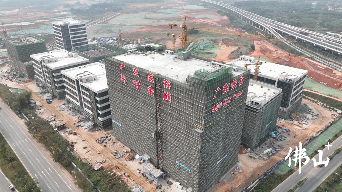 广东医谷·云东海生命科学园正在加速推进建设。液相色谱填料及生物医药高效分离纯化介质项目签约落地该生命科学园。广东医谷·云东海生命科学园供图.jpg