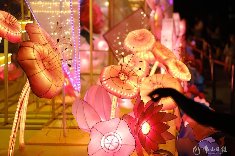 《秋月春花》巨型装置吸引市民打卡留念。