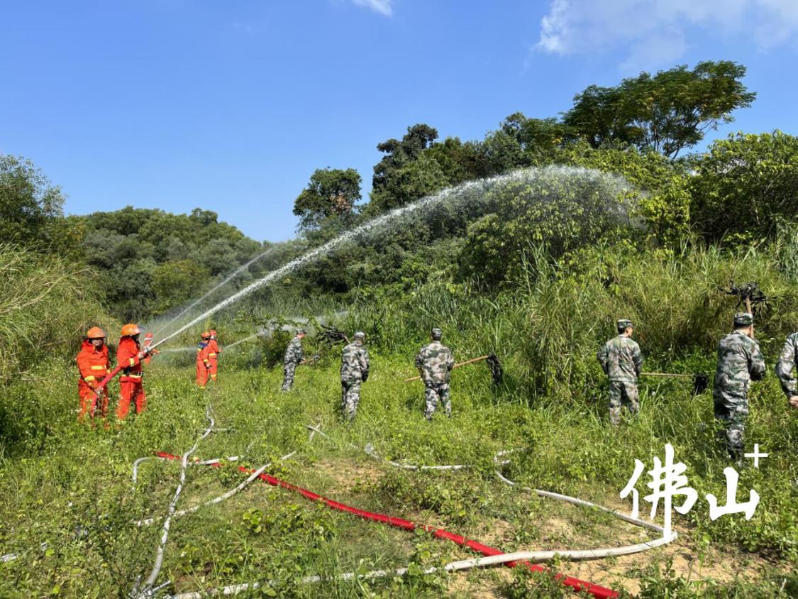云东海街道专职消防队、森林公园消防队和护林员协同作战,扑灭火源。通讯员供图.png