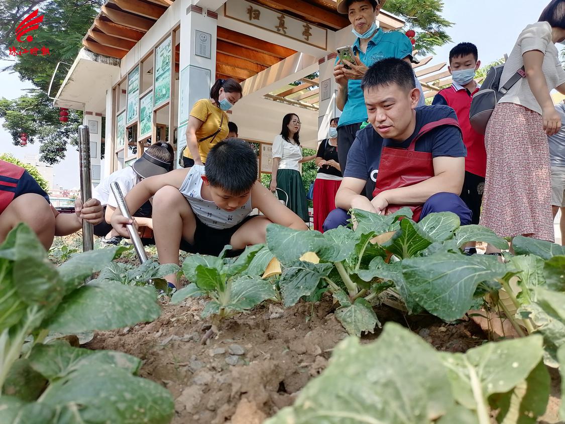 孩子们在家长的带领下参加劳动实践。.jpg