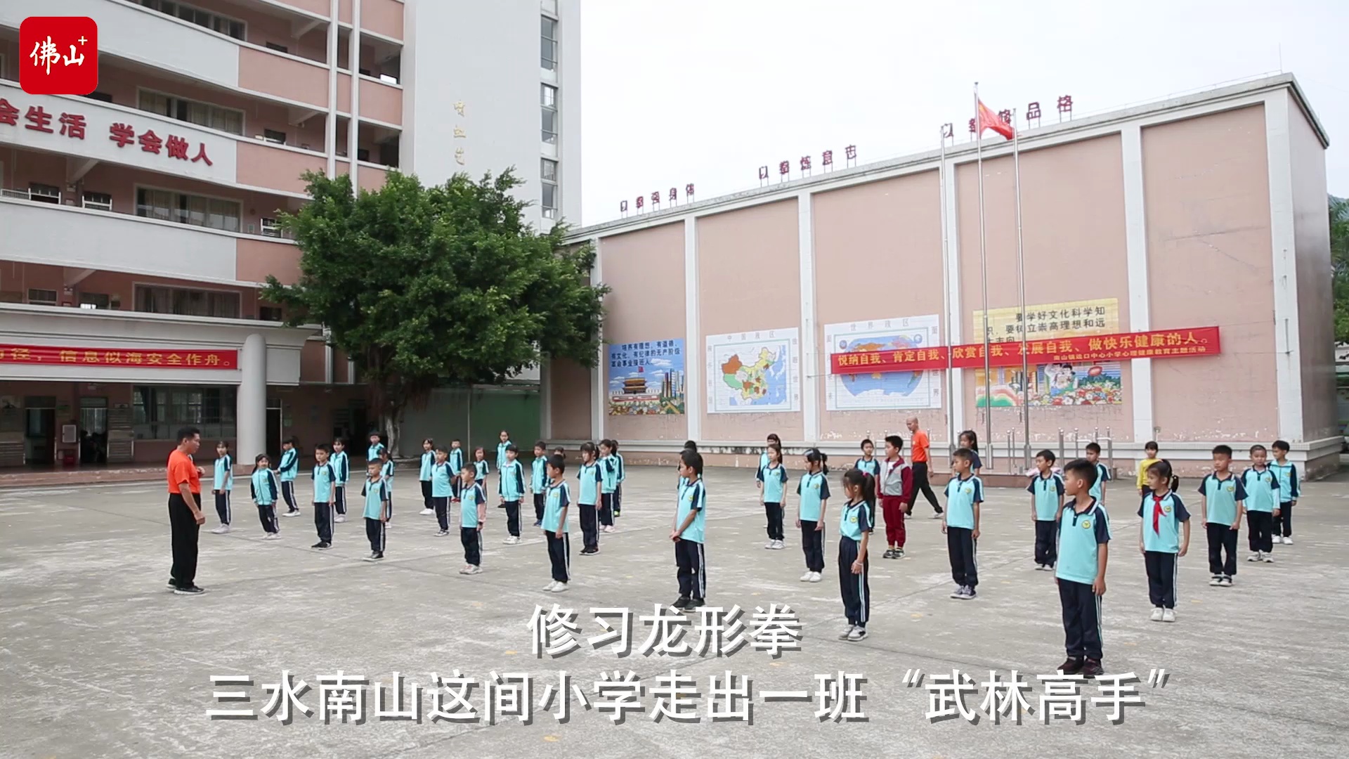 视频/佛山日报记者王澍制作