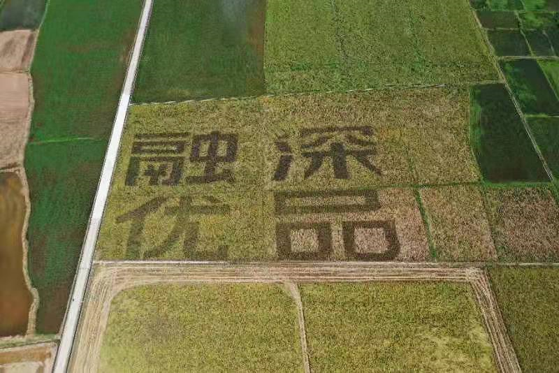 正在上传...