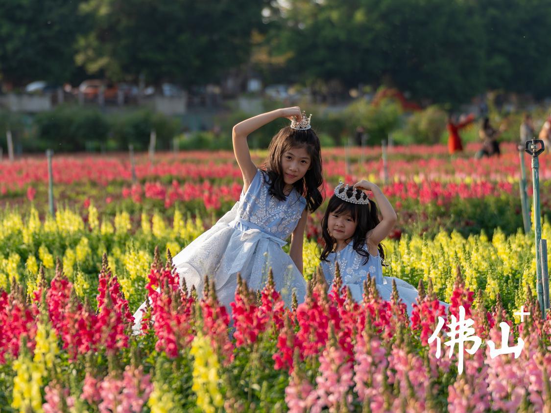 白坭七彩花田2.jpg