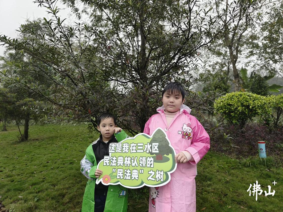 小朋友认领民法典树。通讯员供图.png
