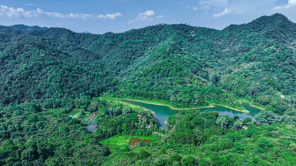 大南山生态林场.jpg