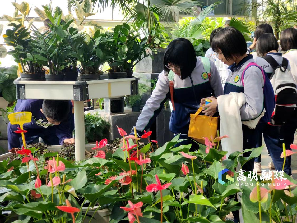 参观艺术花园里的花卉植物。杨广志摄.jpg
