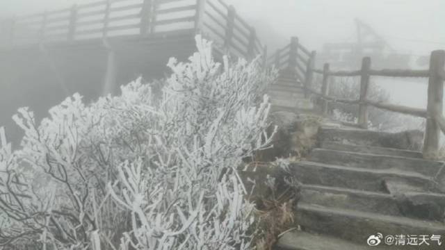 连山金子山再现雾凇场景 图/@清远天气