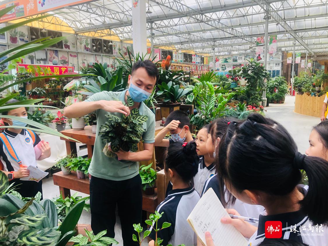 发现各种植物的差异.jpg