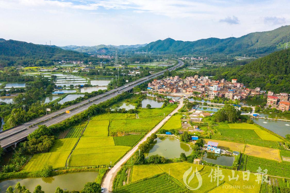 DJI_0807.jpg