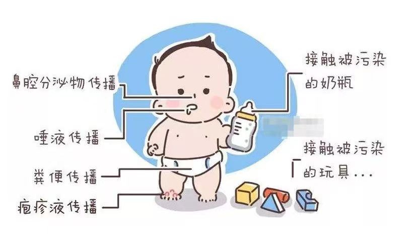 手足口病的传染途径.jpg