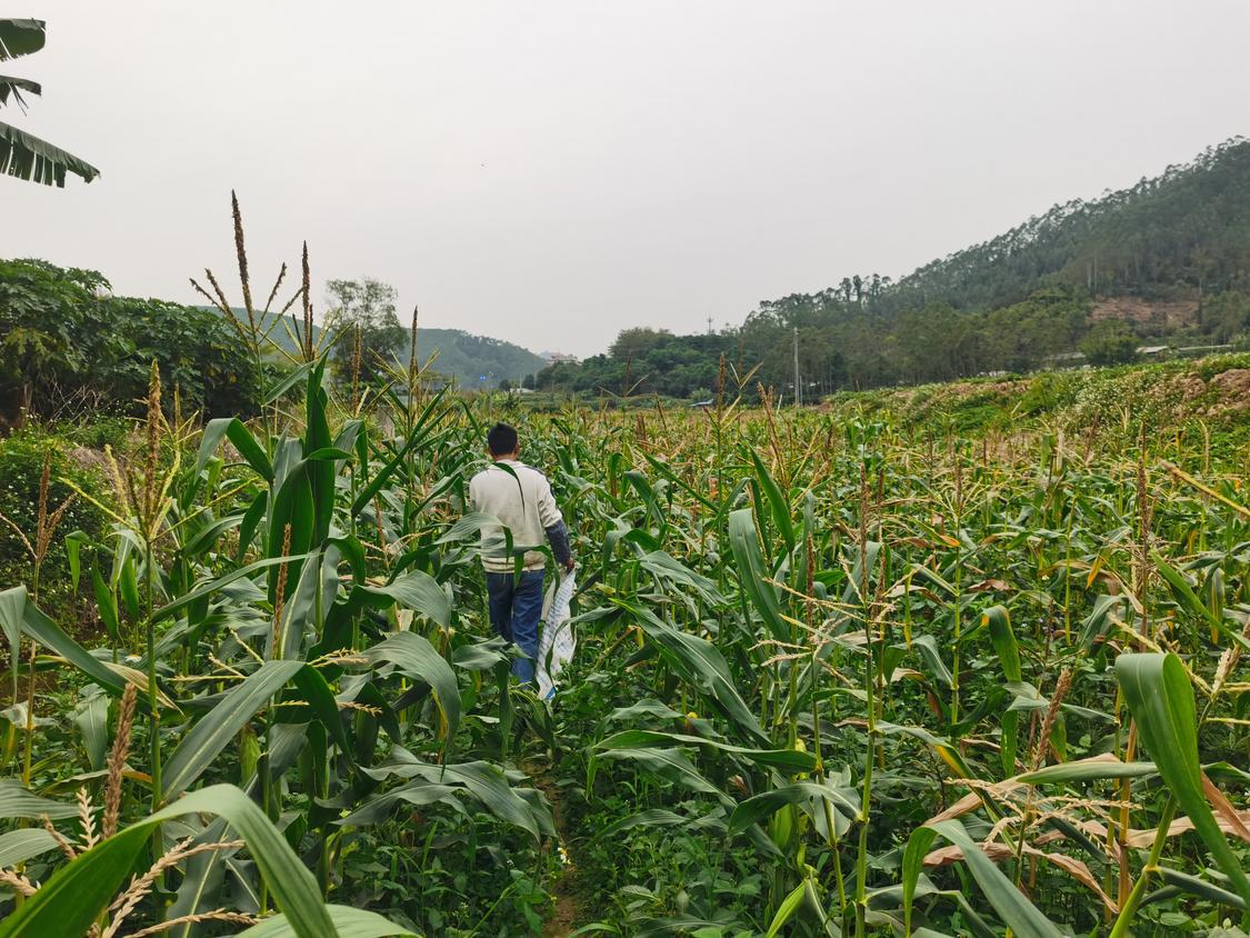 在唯健坊种养示范基地，学员正在进行耕作。受访者供图.jpg