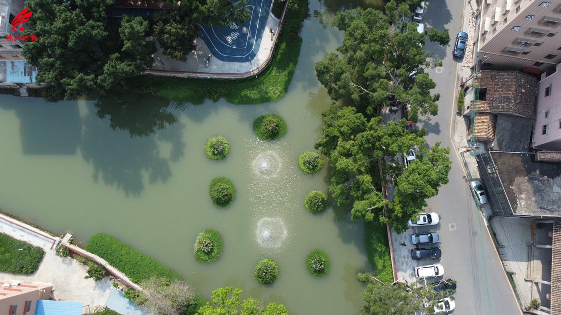 夏南一高桥西涌整改后，水清岸绿。.JPG