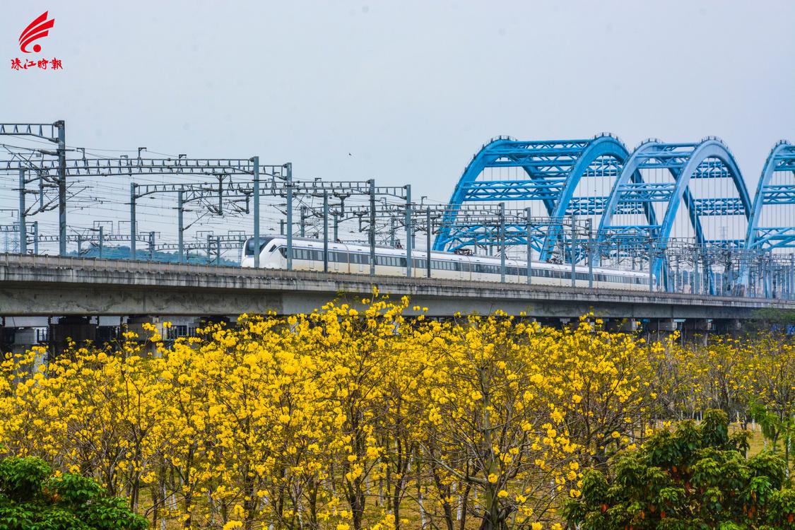 佛山西站提供“大湾区1小时+广佛半小时+零换乘”的通勤便利。.jpg