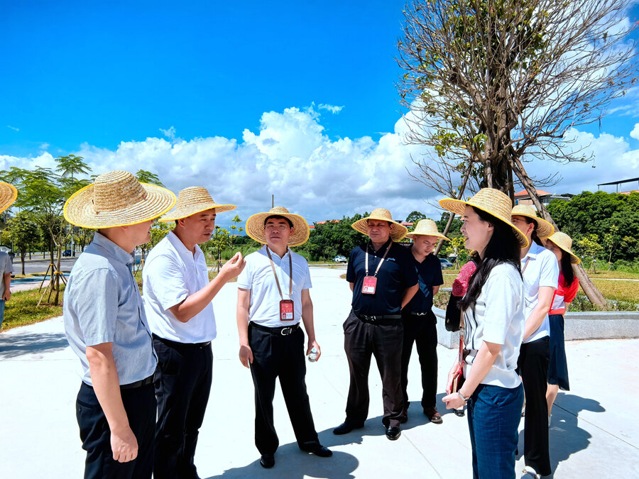 人大代表视察陈江街道石圳村植树基地,听取绿美仲恺生态建设情况汇报。 人大代表视察陈江街道石圳村植树基地,听取绿美仲恺生态建设情况汇报。