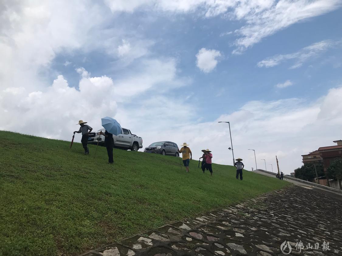 水利部门在樵桑联围巡堤查险。(受访单位供图).jpg