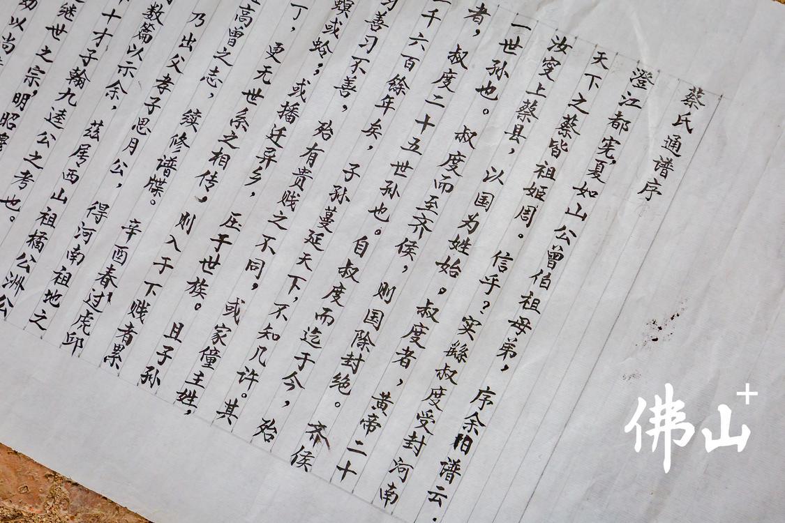 三水区芦苞镇独树岗村村民蔡治定通过族谱向记者介绍在此定居的蔡氏家族的发展史。佛山日报记者王澍摄.jpg
