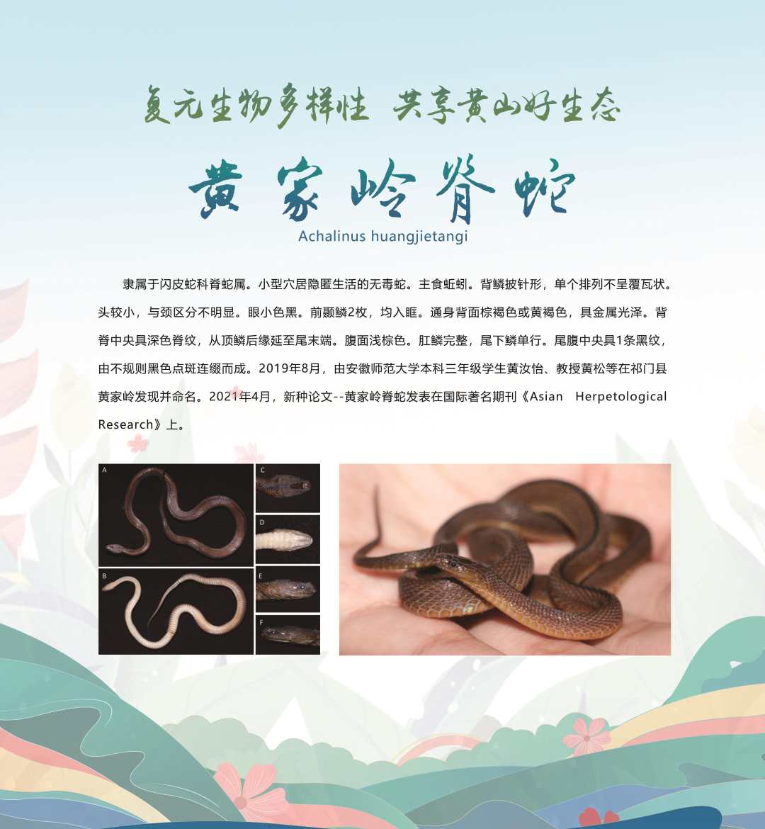 微信图片_20230520185620.jpg?x-oss-process=style/w10