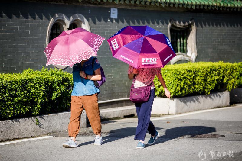 8月17日，汾江北路，市民撑着遮阳伞出行，抵御烈日。/佛山日报记者王伟楠摄