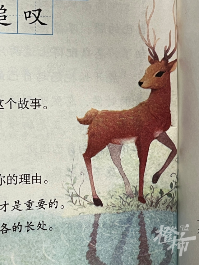 之前的配图