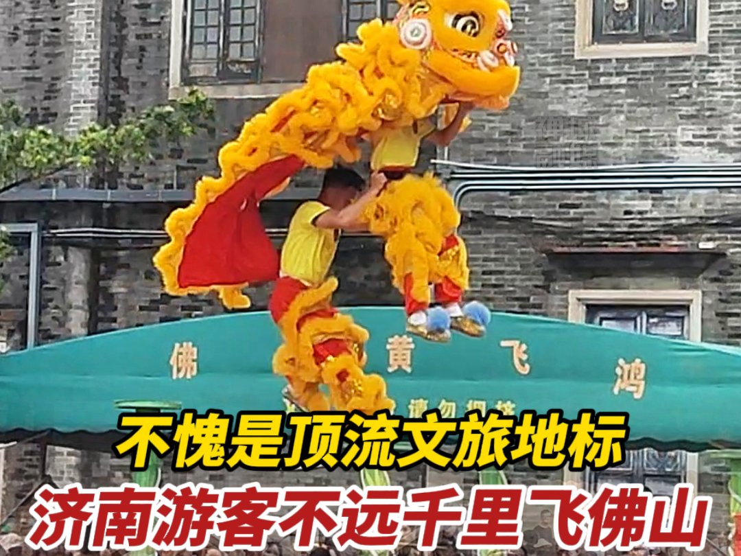 视频｜济南游客不远千里飞佛山！只为一睹醒狮高光时刻