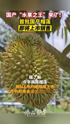 国产榴莲来了！开始预售！