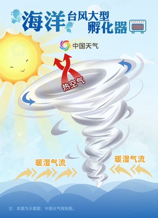海洋是孕育台风的“孵化器”.jpg