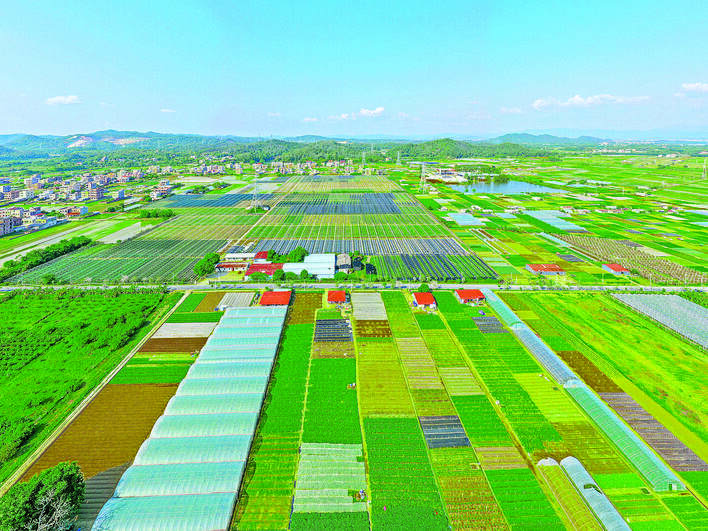 惠城区大力推进城乡区域协调发展,农业产业为乡村振兴赋能。这是航拍汝湖乡村。 惠城区大力推进城乡区域协调发展,农业产业为乡村振兴赋能。这是航拍汝湖乡村。