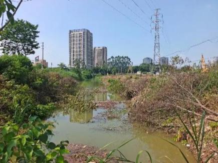 望岗涌改造前场景。通讯员供图.jpg