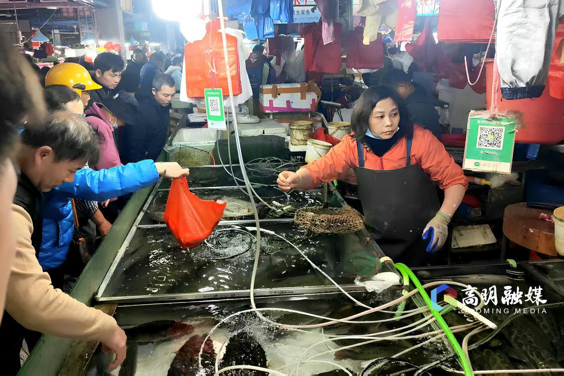 鲈鱼最多人买.jpg