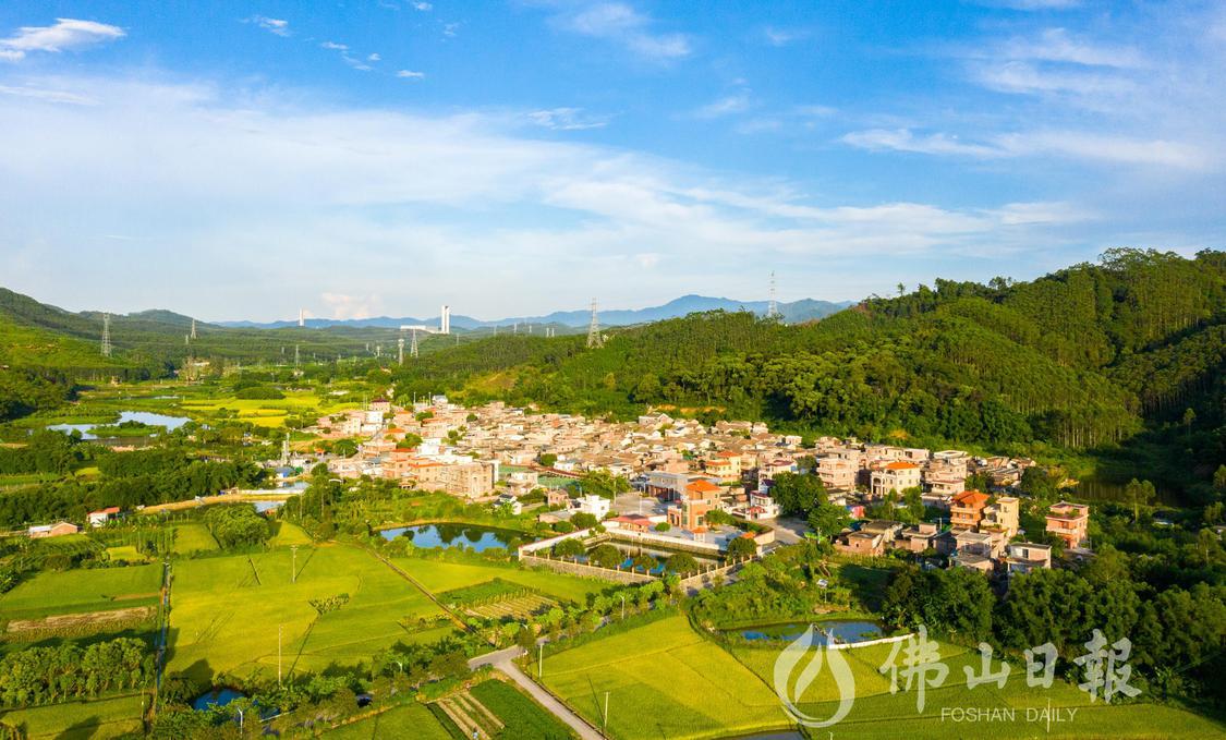 DJI_0838.jpg