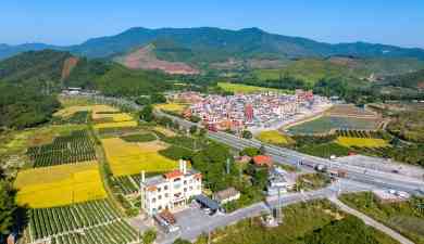 百千万·新高明丨富民兴村的“高明答卷”